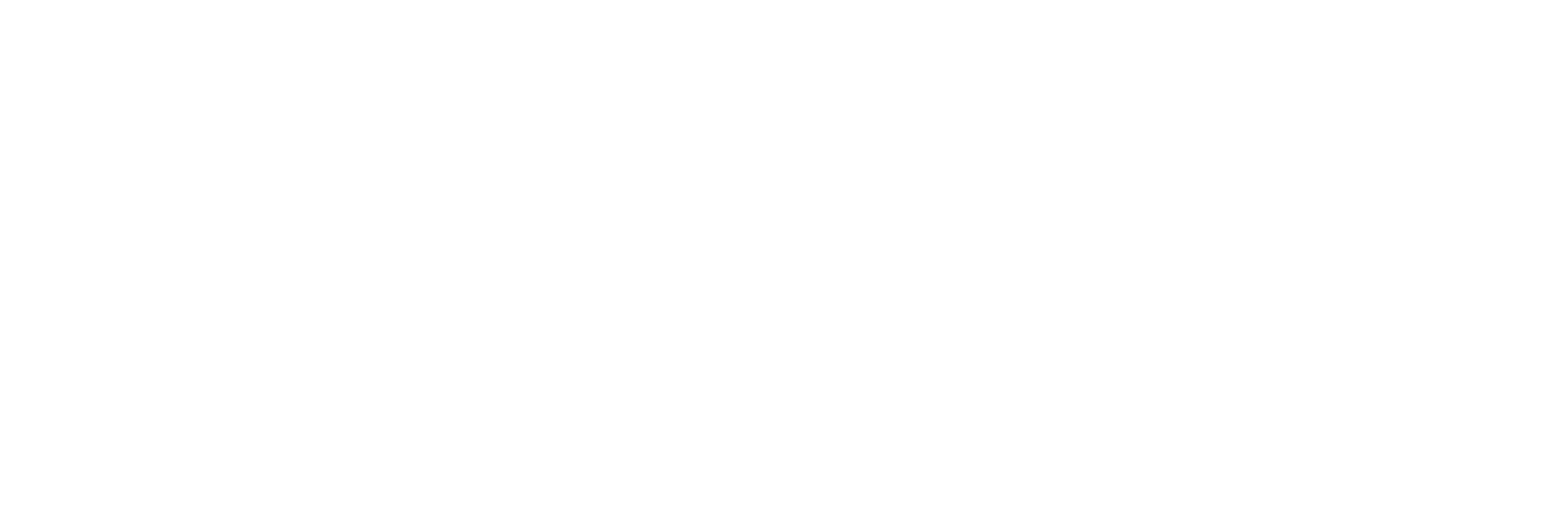 Space X